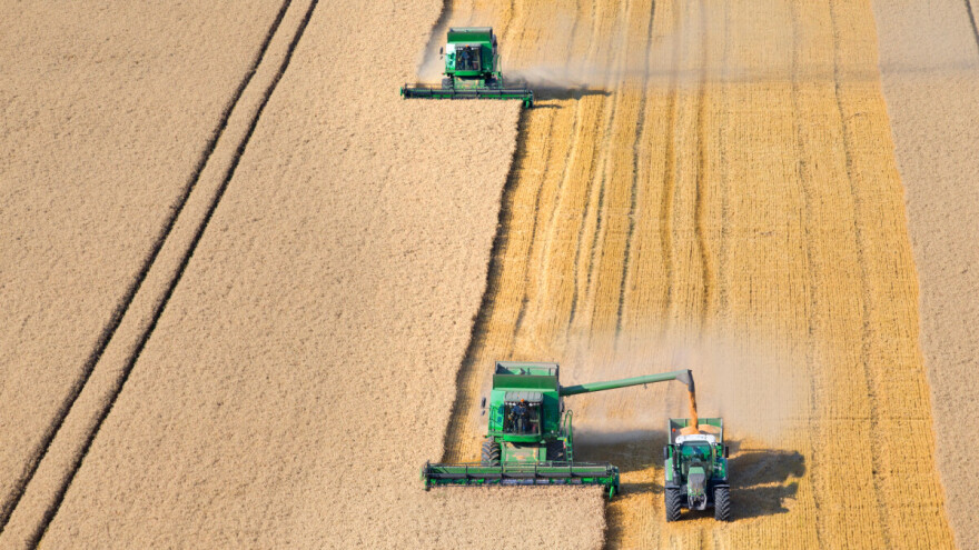 Ponuda pšenice u svijetu ogromna - a cijene?