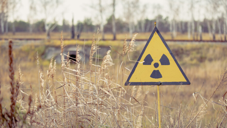 Skandal u Ukrajini: Suncokret i žitarice uzgajani na radioaktivno zagađenim poljima kod Černobilja