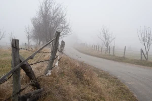 Maglovito, oblačno, uz slab jutarnji mraz. Obratite pažnju na glodare u usevima
