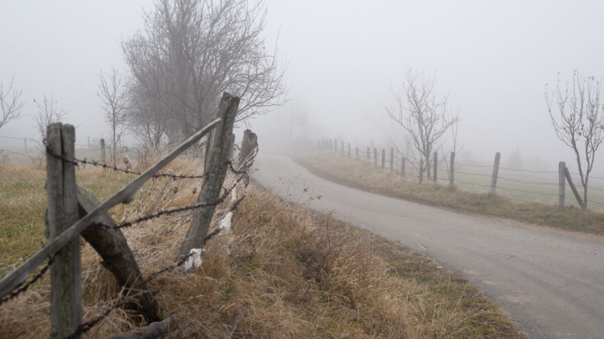 Maglovito, oblačno, uz slab jutarnji mraz. Obratite pažnju na glodare u usevima