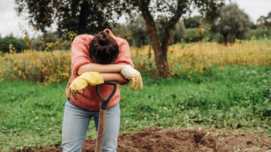Porodično nasilje na selu: Žene šute i trpe, jer nemaju kuda