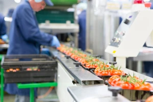 Otvoren konkurs: Za unapređenje organske proizvodnje u Vojvodini 14 miliona dinara