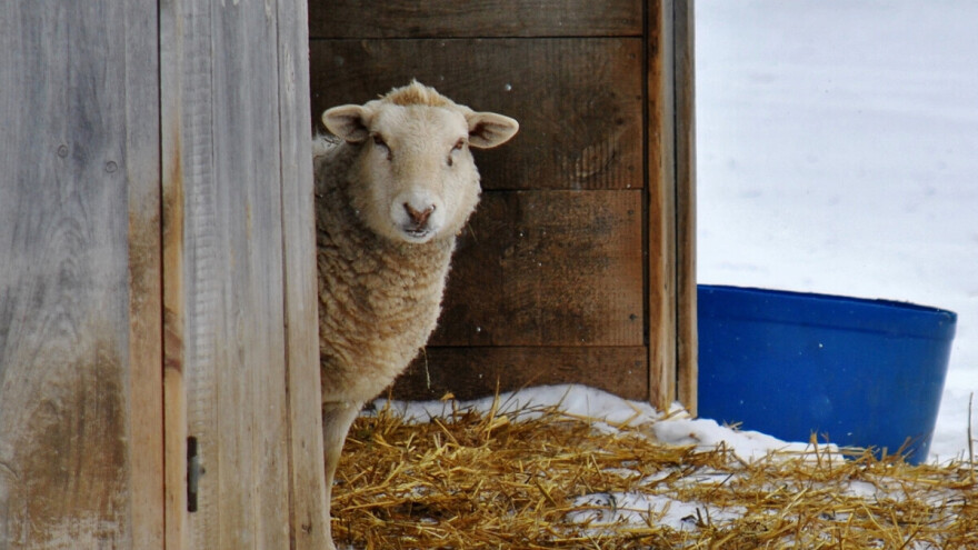 Osetno hladnije, uz kišu, mraz i temperature do -7°C