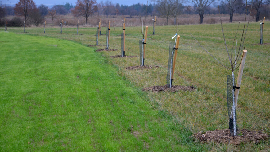 Odobrena isplata poticaja za podizanje novih nasada u HNK