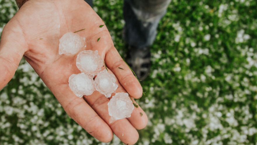 Otvoren natječaj za osiguranje poljoprivredne proizvodnje, vrijedan 14 milijuna eura