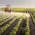 Prodaja pesticida u EU pala za dodatnih 9 posto u 2023.