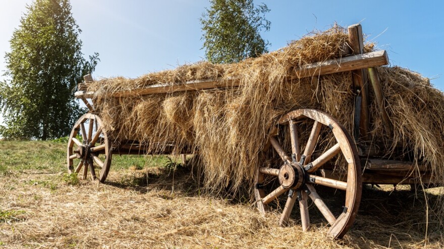 Od taljiga do zaboravljenog majstorstva