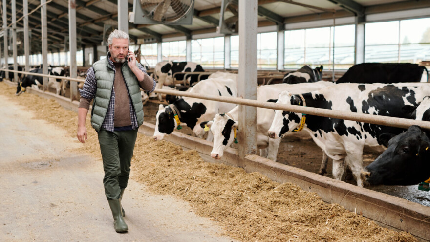 Poticaji pod lupom: Kada farmeri postaju "zanimljivi" PDV inspekciji?
