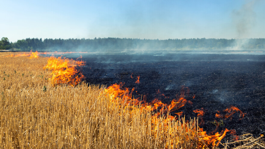 MUP: "Zabranjeno spaljivanje biljnih ostataka i strnih useva, kazne do milion dinara"