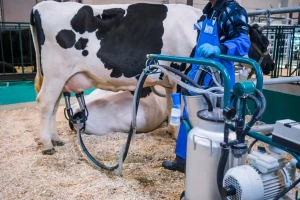 Dok mljekarska industrija mijenja strategiju, Lactalis obara rekorde - tko su 20 najboljih?