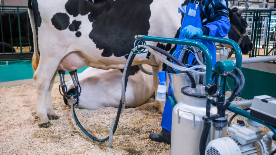 Dok mljekarska industrija mijenja strategiju, Lactalis obara rekorde - ko su 20 najboljih?