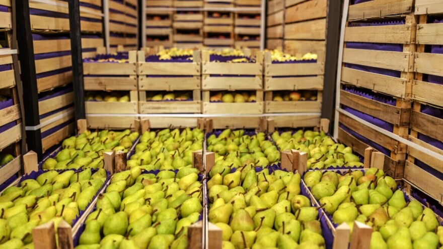 Zbog ostataka štetnog pesticida zabranjen uvoz pošiljke krušaka iz BiH u Hrvatsku