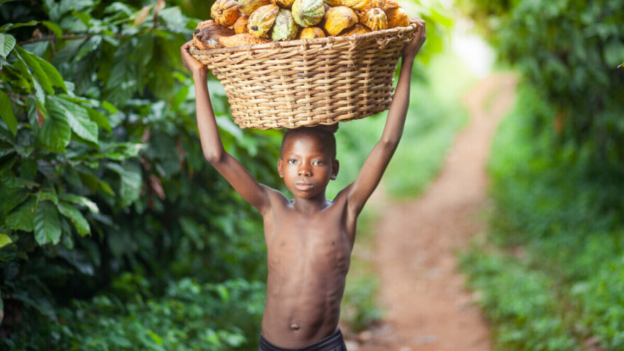 Kolika je stvarna cijena čokolade? Potresna priča o trgovini djecom u Africi