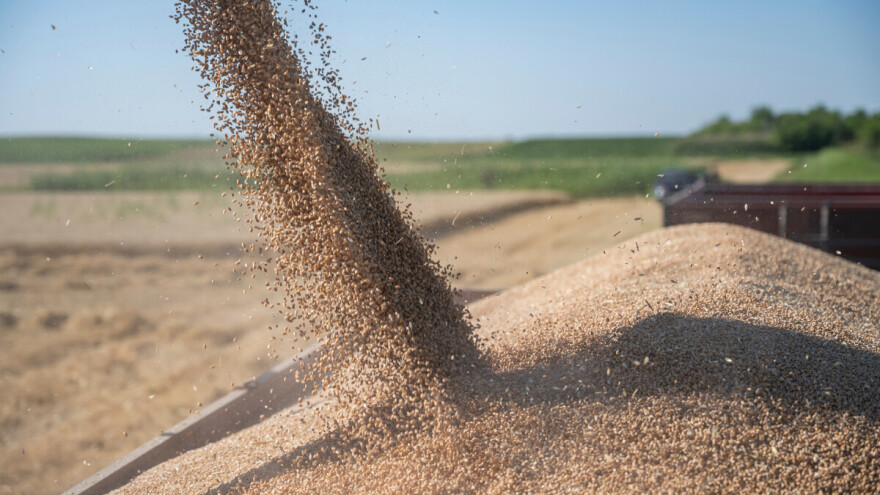 Cena pšenice beleži negativan trend, najviše se trgovalo ječmom