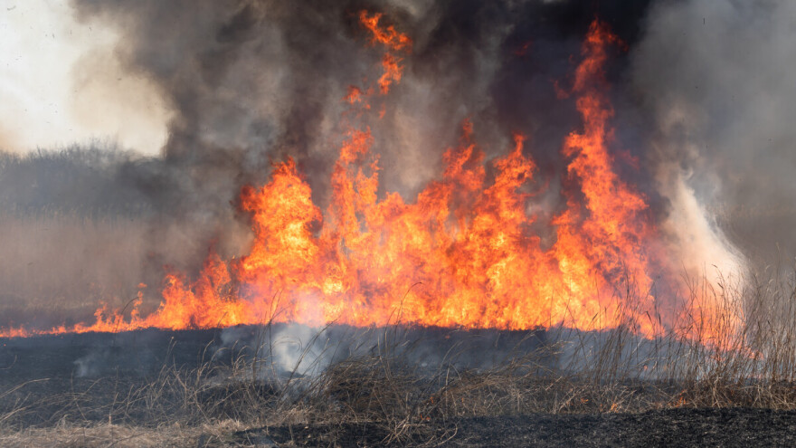 Ponovno požar na poljoprivrednom zemljištu, gorjeli nasadi lješnjaka