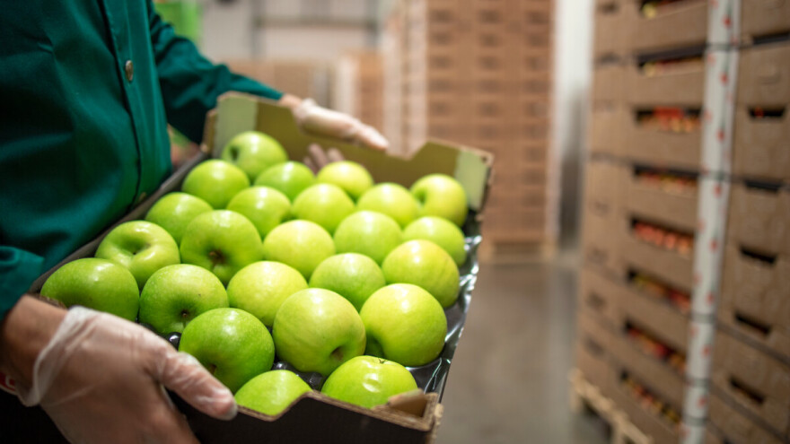 Dva miliona dinara za organsku proizvodnju u Vojvodini