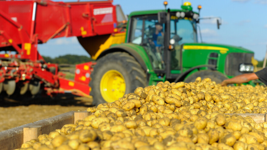 Tko su u TOP 10 svjetskih proizvođača krumpira?