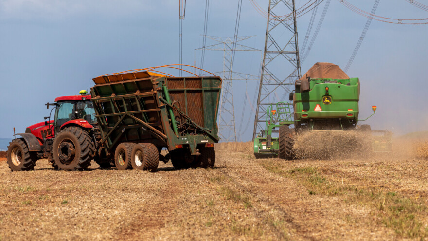 SAD gubi tržišni udio: Kina se okrenula drugim izvoznicima žitarica i uljarica