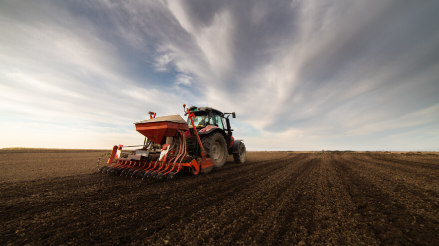 Preporuke pred setvu uljane repice - posebno obratiti pažnju na glodare