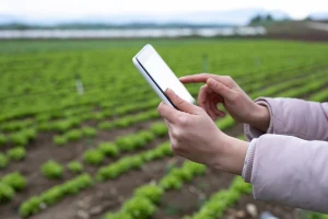 Evo kako u četiri koraka provjeriti informativni izračun na Agronet-u