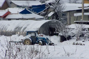 Za decembrom punim snijega ide rodnija godina, ali povrćari neka pripaze