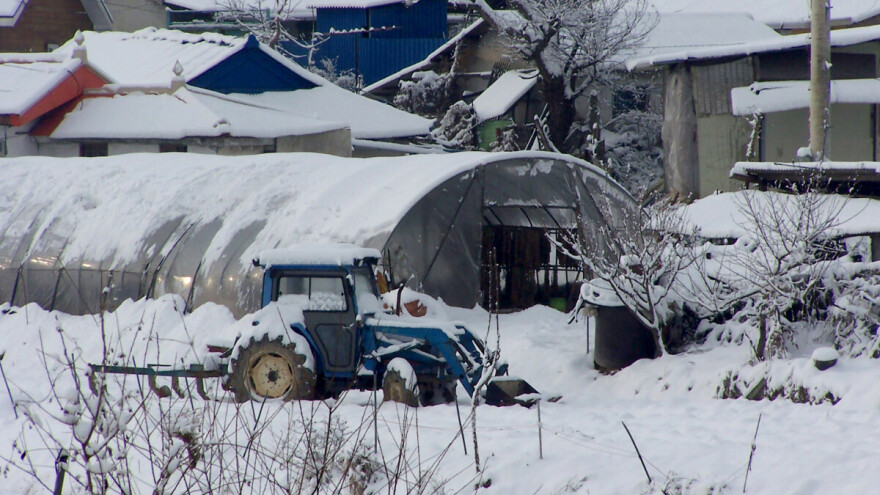 Za decembrom punim snijega ide rodnija godina, ali povrćari neka pripaze