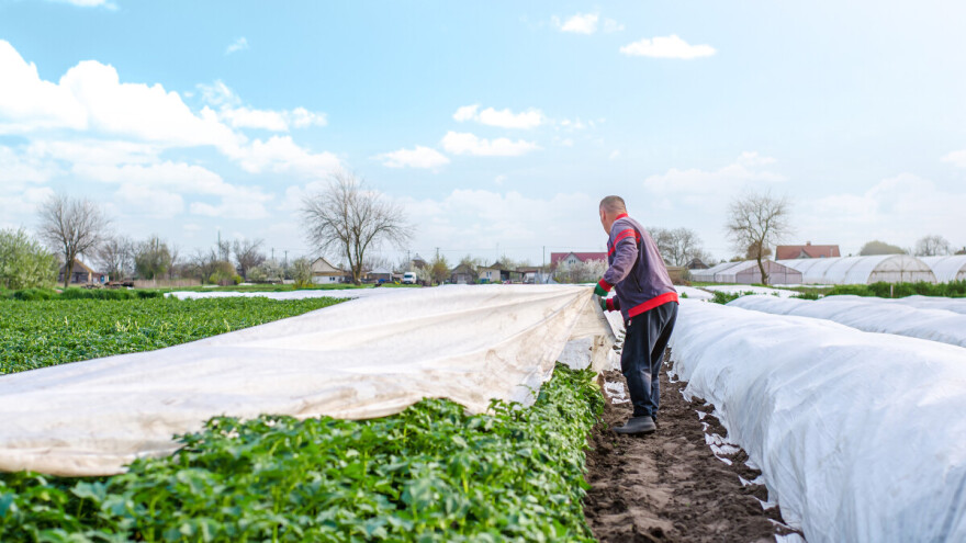 U srijedu jutarnji mraz, krajem sedmice osjetno zahlađenje