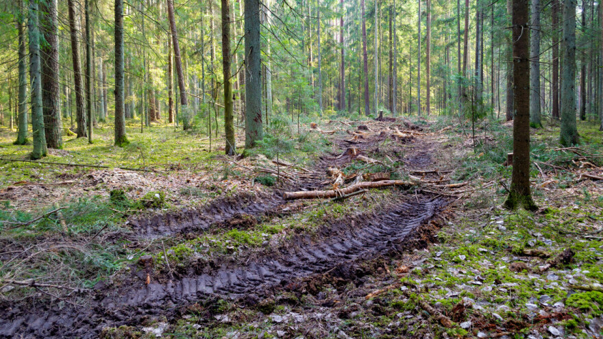 Teško ozlijeđen 64-godišnjak, traktorom se zabio u drvo
