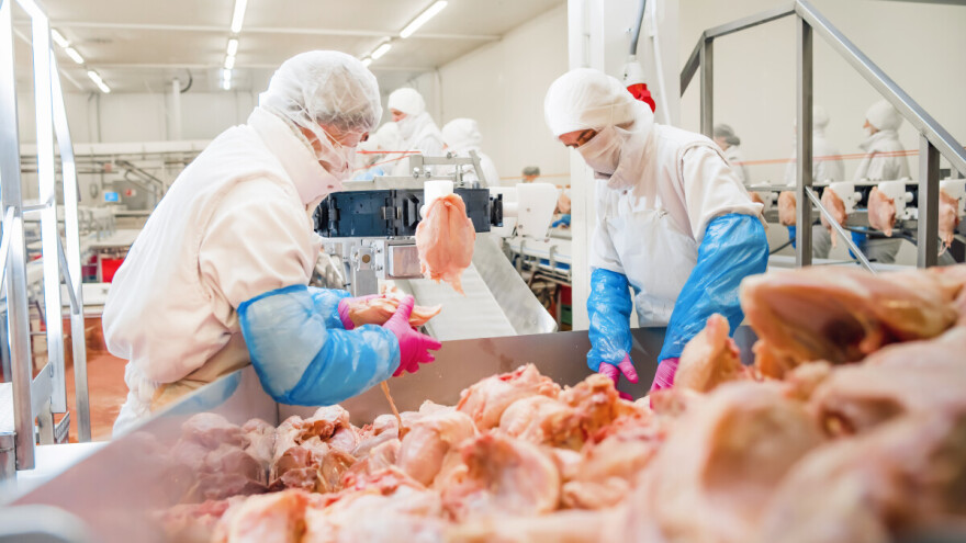 U planu izgradnja klaonice pilića kod Srpca