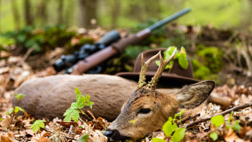 Pali krivolovci: 71-godišnjak ustrijelio jelena na Majevici, Banjalučanin ubio srnu i lane