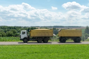 Izvozne cene ruske pšenice na istorijski niskom nivou