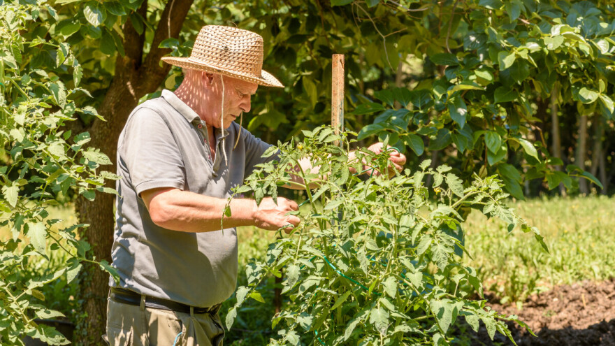 Pripremite se na sušu koja bi mogla potrajati