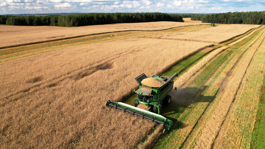 Cijene žitarica i uljarica relativno stabilne, čeka se najnovije američko izvješće