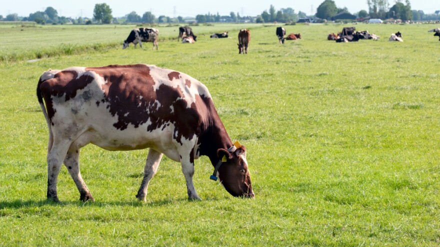 U Hrvatskoj poljoprivreda smrdi, a turizam pati?