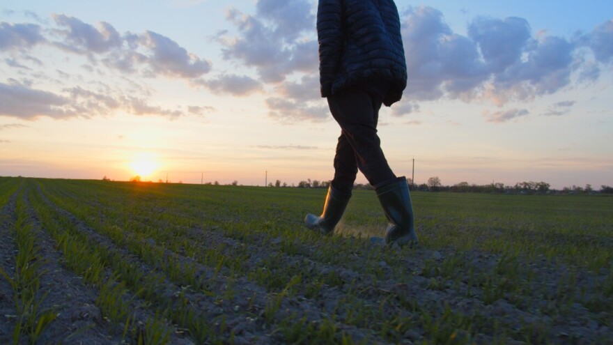Puče i drugo džemre, spremite gnojivo, uskoro ćemo u njive