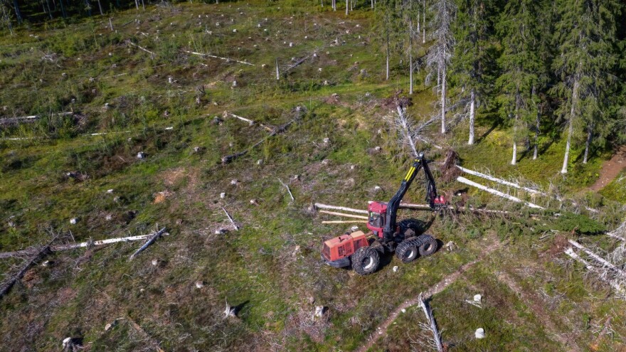 EU parlament produžio rok za usklađivanje poduzeća s Uredbom o krčenju šuma