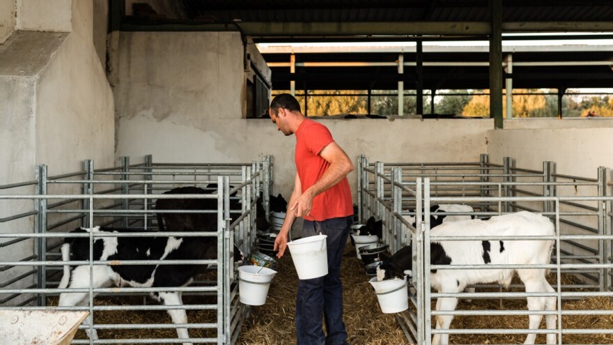 Vlada Srbije donela niz uredbi: Razmena tovne junadi za traktorske cisterne za gašenje požara