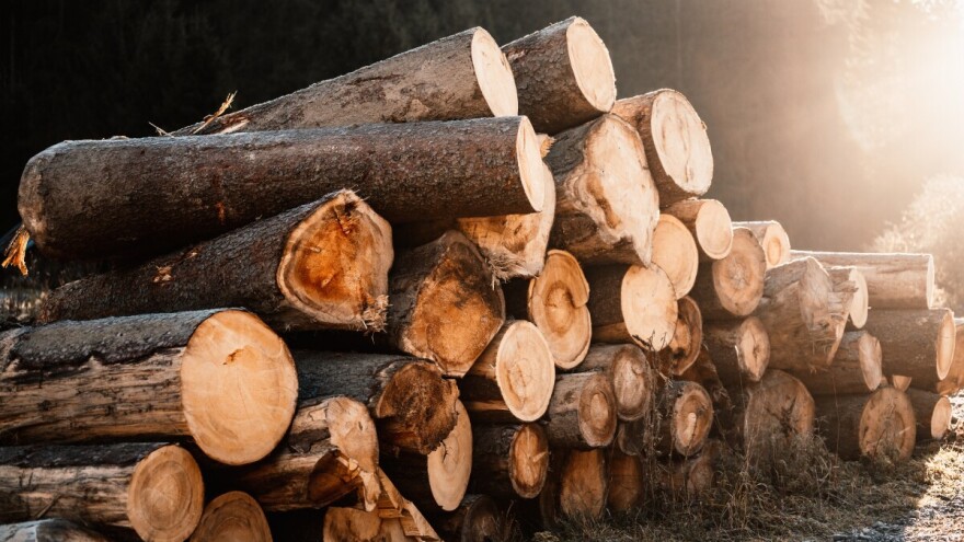 "Sarajevo-šume" prodaju drvne sortimente: U ponudi i ogrjevno drvo