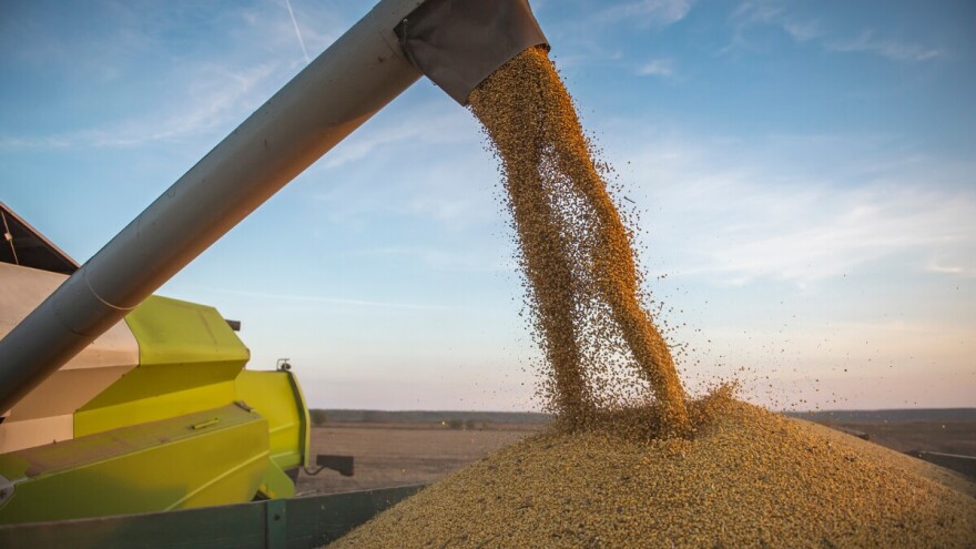 Proizvođači kukuruza se nadaju višoj ceni, "palo" prvo trgovanje novim rodom soje