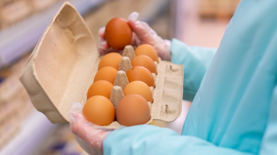 S tržišta zbog salmonele opozvana konzumna jaja domaćeg proizvođača