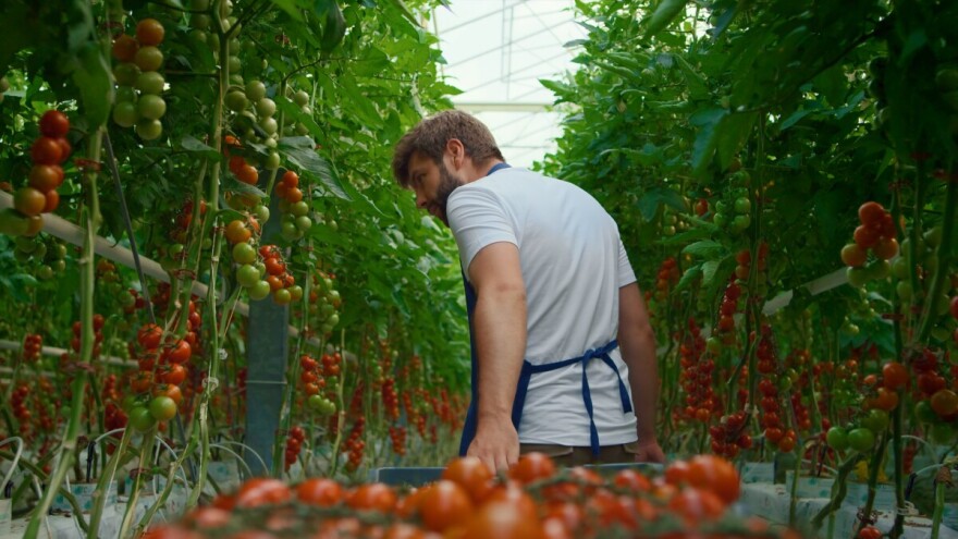 Kako je Kanada postala jedan od najbrže rastućih izvoznika voća i povrća u svetu?