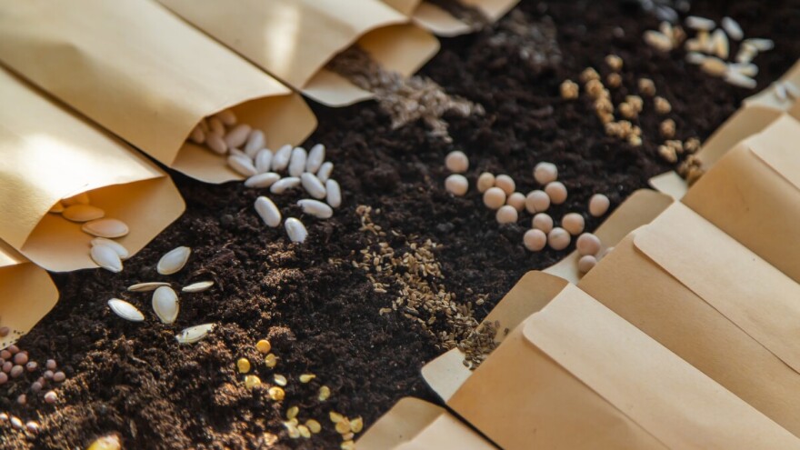 Ministru Dabri stigao još jedan apel: Spasite ugrožene vrste usjeva