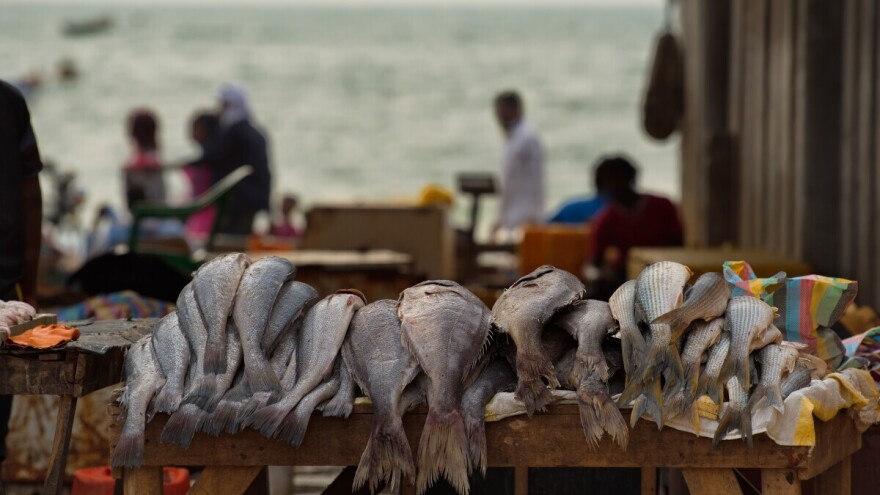 Serijal koji otkriva kriminal, eksploataciju i ekološke posledice tržišta hrane