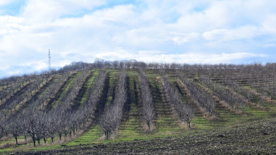 Temperature narednih dana do čak 19 °C, a evo kada nam stiže zahlađenje i sneg