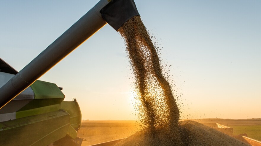 Pad cijena žitarica neutralizirao poskupljenje hrane: U 2024/25. će ih biti više nego ikad?