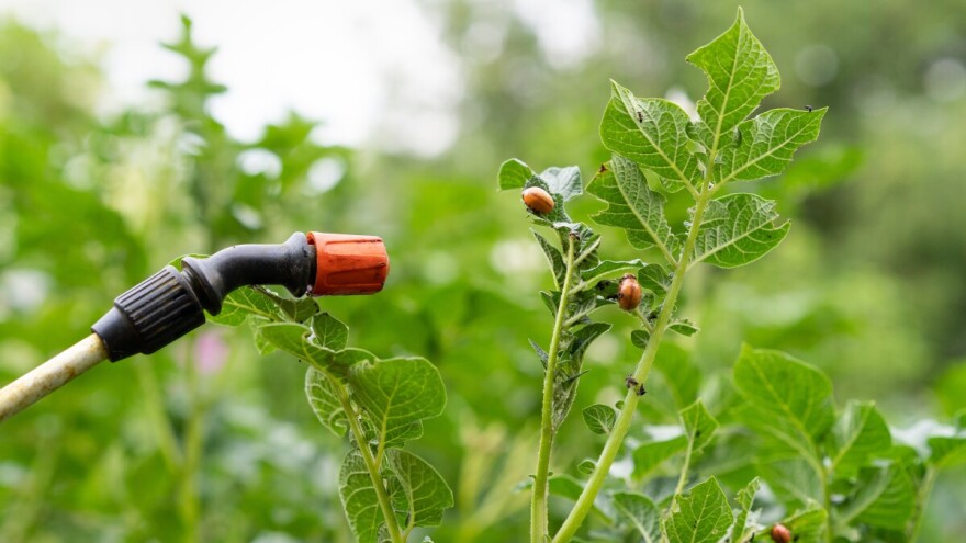 S tržišta se povlači sredstvo za zaštitu bilja na osnovi aktivne tvari metaflumizon