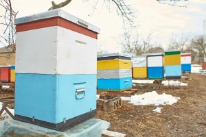 Iz dosade, bahatosti? Nepoznati počinitelj otvorio 37 košnica, uginule sve pčele