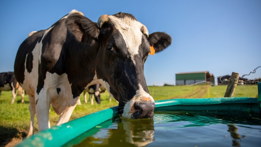 Pronađeno rješenje za problem vode u selima oko Knina, vlasnici stoke mogu odahnuti
