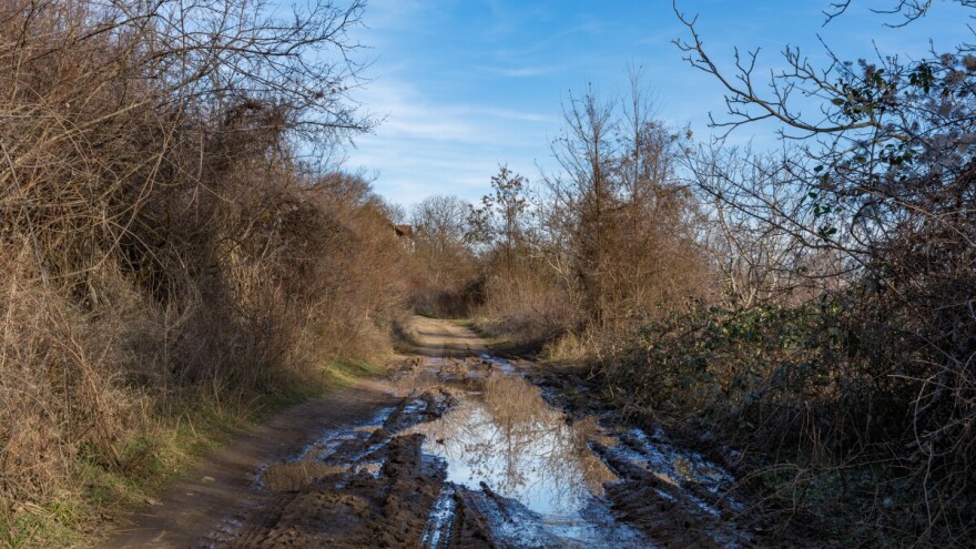Podrška mladima za krčenje i privođenje kulturi zapuštenog poljoprivrednog zemljišta