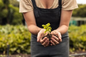 Biodinamička poljoprivreda - razmjena energija